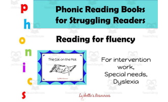 Reading Intervention programme for Struggling Readers