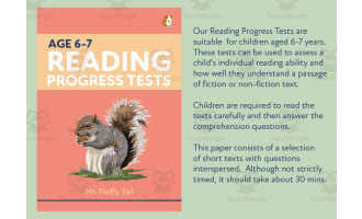 Reading Progress Test 2A - Age 6-7 - KS1 - Mr. Fluffy Tail