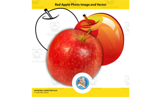 Red Apple Photo Image and Vector