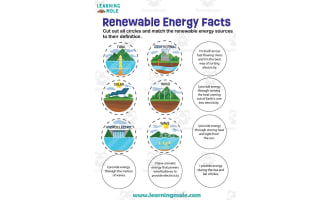 Renewable Energy Activity