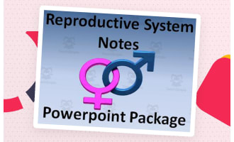 Reproductive System PowerPoint Presentations