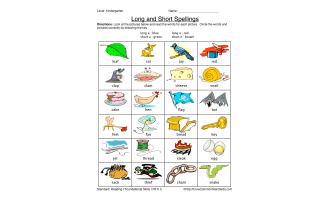 RF.K.3 Common Core Worksheet