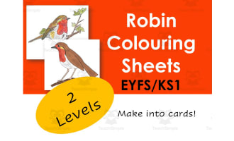Colour A Robin By Teach Simple Colour A Robin By Teach Simple