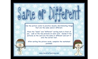 Same or Different Activity