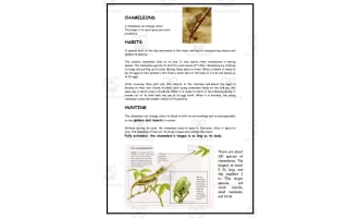Science: Chameleons
