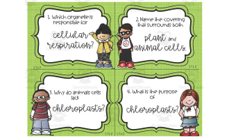 Science Cumulative Review Task Cards