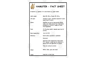 Science: Hamsters