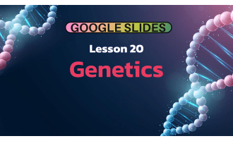 Science Reading Passage 20: Genetics (Google Slides)
