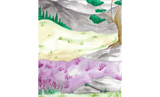 Scottish Highland Wildlife Habitat Poster