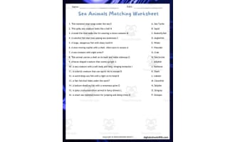 Sea Animals Matching Worksheet – Fish Word Game Puzzle