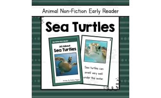 Sea Turtles Early Reader Nonfiction Book