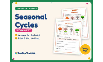 Seasonal Cycles Worksheet – 1st Grade Seasons & Weather Practice