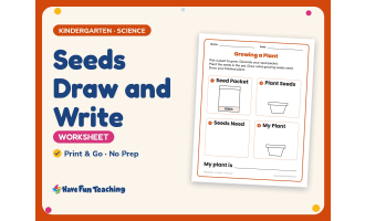 Seeds Draw and Write Worksheet – Kindergarten Life Cycle & Plants