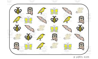 Semantic Themed Activity Boards Set 26: FLYING CREATURES