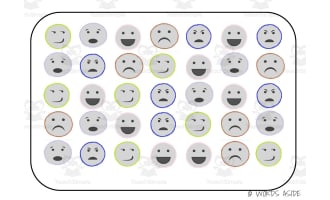 Semantic Themed Activity Boards Set 39: EMOTIONS