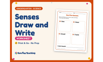 Senses Draw and Write Worksheet – Kindergarten Anatomy & Human Body