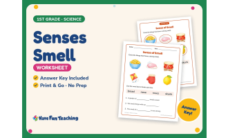 Senses Smell Worksheet – 1st Grade Anatomy Practice + Answer Key