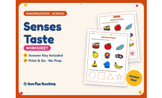 Senses Taste Worksheet – Kindergarten Anatomy Practice + Answer Key