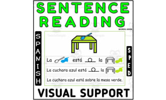 Sentence Building Visual Structure Spanish Center 1