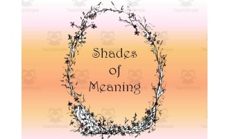 Shades of Meaning Lesson and Worksheet