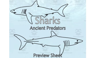 Sharks Mini Unit