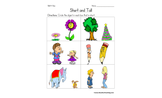 Short and Tall Worksheet