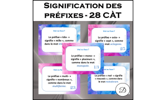 Signification des préfixes - 28 cartes à tâches