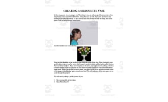 Silhouette Vase Photoshop Activity