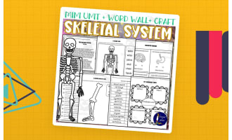 Skeletal System Unit with Word Wall and Craft