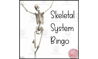 Skeletal System Vocabulary Bingo