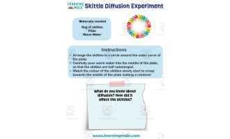 Skittle Diffusion Experiment