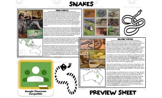 Snakes Mini Unit