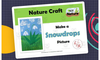 Snowdrops Picture to Make