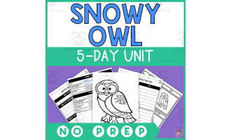 Snowy Owl Unit Study (Arctic Animals Lesson Plan, Videos, Activities)