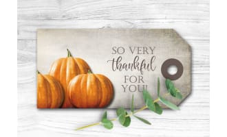 So Very Thankful for you gift tags, Thanksgiving party favor,