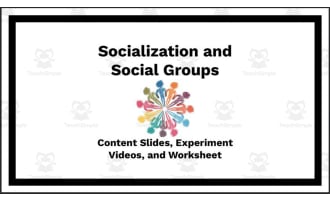 Socialization and Social Groups (Unit Slides, Activity, and Worksheets)