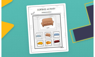 Sorting Activity: Around the Home - Non-Identical items