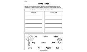 Characteristics of Living and Non-Living Things Worksheet by ...