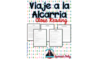 Spanish Reading Comprehension & Grammar | Assessment