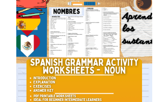 Spanish Grammar Activity Worksheets - Nouns