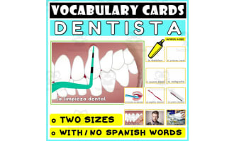 Spanish Language Vocabulary Flashcards 11