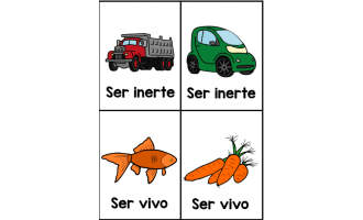 Spanish Living and Non-living