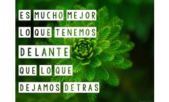 Spanish: Motivational Phrases Posters
