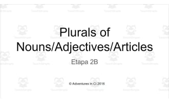 Spanish: Plural of Nouns, Adjectives Notes
