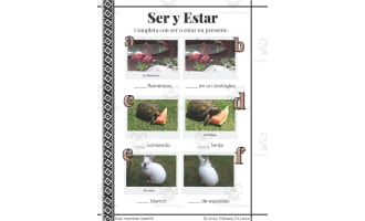Spanish: Ser y Estar Grammar Worksheet