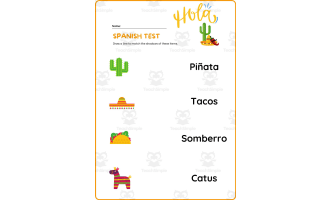 Spanish Test for kids and for students activity worksheet