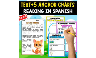 SPANISH TEXT + 5 ANCHOR CHART | El gato curioso