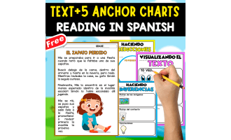 SPANISH TEXT + 5 ANCHOR CHARTS | El zapato perdido