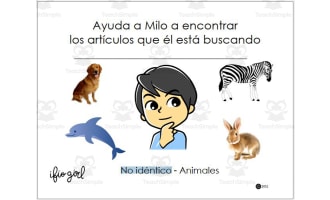 SPANISH VERSION - sort non identical animals