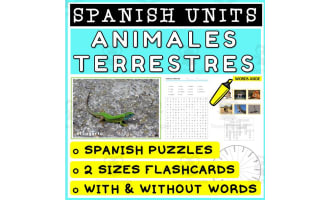 SPANISH Vocabulary Flashcards Puzzles Games 24